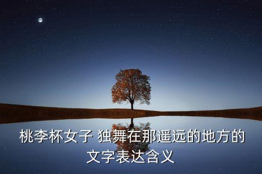  桃李杯女子 独舞在那遥远的地方的文字表达含义