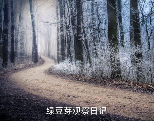 绿豆芽观察日记