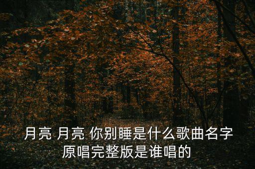  月亮 月亮 你别睡是什么歌曲名字原唱完整版是谁唱的