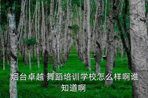烟台哪家舞蹈学院,烟台少儿舞蹈培训哪家最好