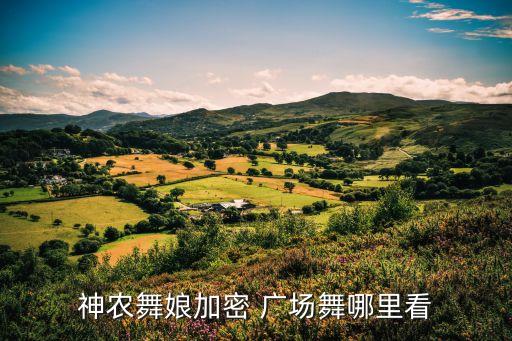 神农舞娘加密 广场舞哪里看
