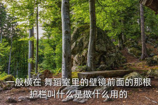 一般横在 舞蹈室里的壁镜前面的那根护栏叫什么是做什么用的