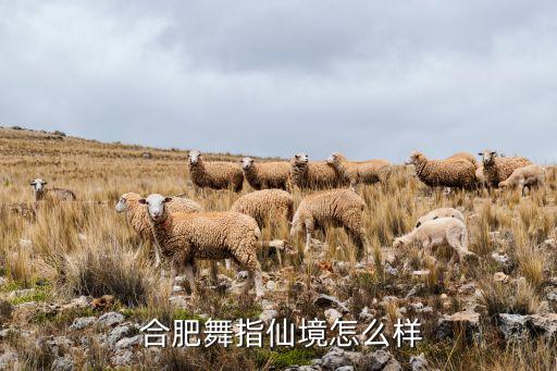  合肥舞指仙境怎么样