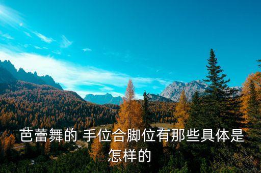 民族舞蹈芭蕾手位