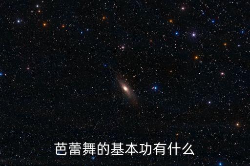 芭蕾舞的基本功有什么