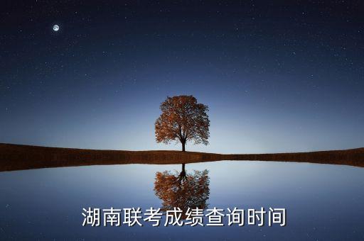  湖南联考成绩查询时间