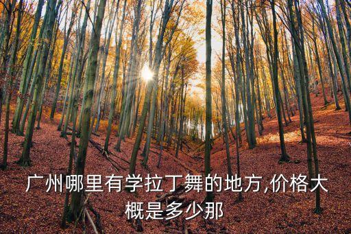  广州哪里有学拉丁舞的地方,价格大概是多少那