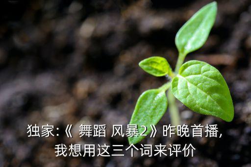 独家:《 舞蹈 风暴2》昨晚首播,我想用这三个词来评价