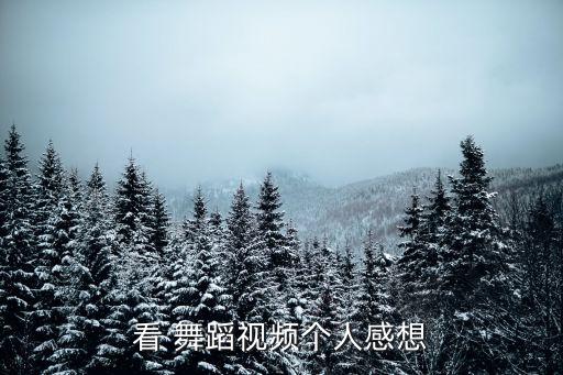 看 舞蹈视频个人感想