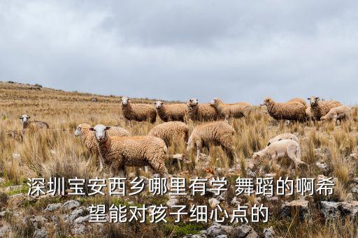  深圳宝安西乡哪里有学 舞蹈的啊希望能对孩子细心点的