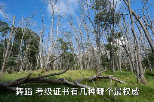  舞蹈 考级证书有几种哪个最权威
