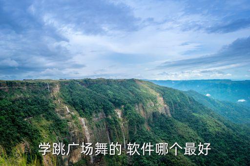 自学舞蹈用什么软件下载,儿童舞蹈自学软件下载