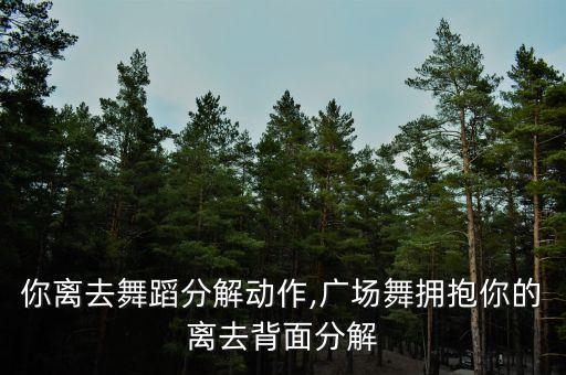 拥抱你离去舞蹈分解动作,广场舞拥抱你的离去背面分解