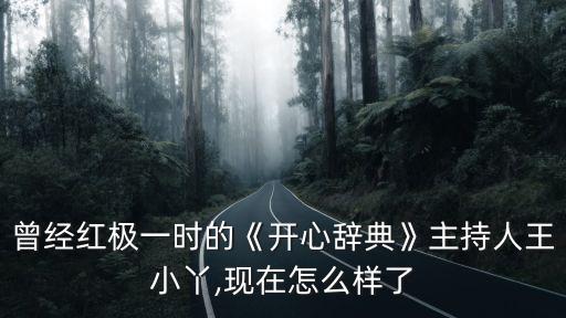 快乐的小丫舞蹈视频,快乐小丫舞蹈视频作品简介