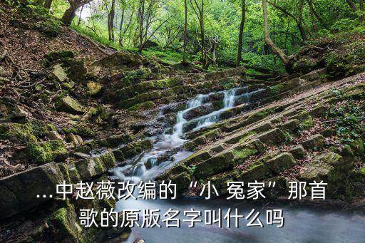 ...中赵薇改编的“小 冤家”那首歌的原版名字叫什么吗