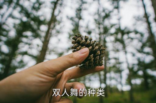  双人舞的种类