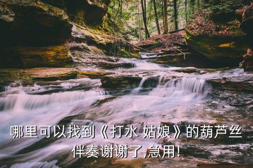 哪里可以找到《打水 姑娘》的葫芦丝伴奏谢谢了,急用!