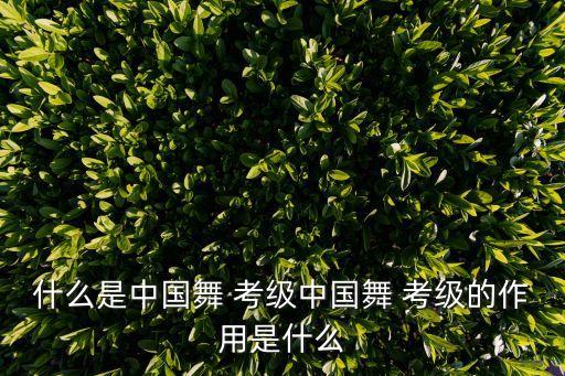 舞蹈考级哈哈,考级舞蹈一级