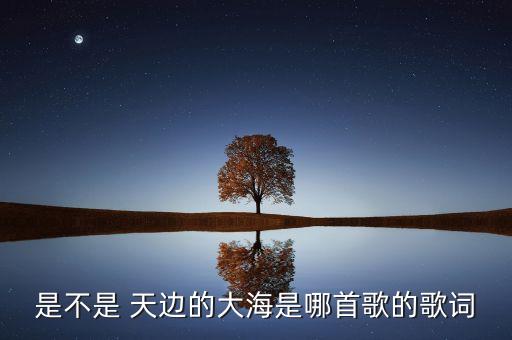 是不是 天边的大海是哪首歌的歌词