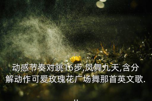动感节奏对跳16步,凤舞九天,含分解动作可爱玫瑰花广场舞那首英文歌...