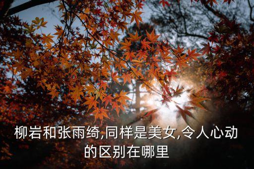 柳岩和张雨绮,同样是美女,令人心动的区别在哪里