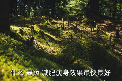 什么 舞蹈 减肥瘦身效果最快最好
