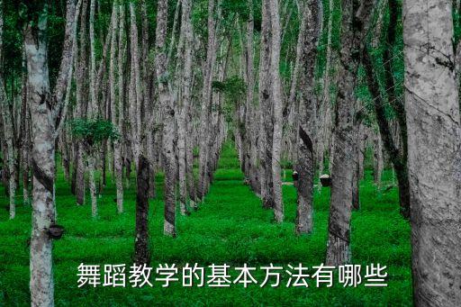  舞蹈教学的基本方法有哪些