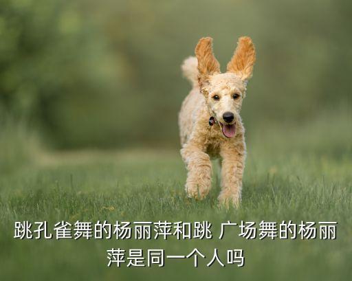 跳孔雀舞的杨丽萍和跳 广场舞的杨丽萍是同一个人吗
