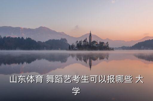 山东体育 舞蹈艺考生可以报哪些 大学