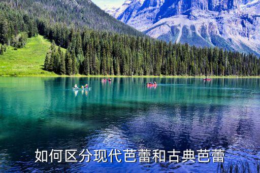 如何区分现代芭蕾和古典芭蕾