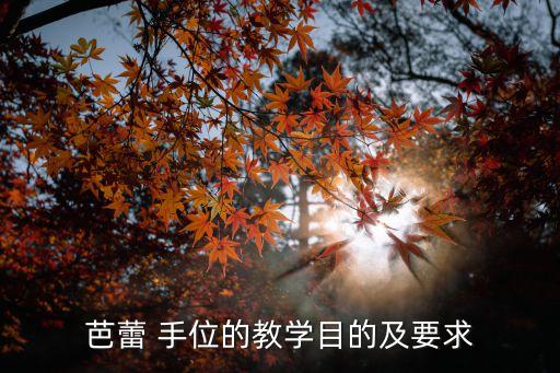 表演舞蹈芭蕾舞手位,芭蕾舞表演和舞蹈教学 哪个专业好