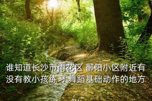 谁知道长沙市雨花区 鄱阳小区附近有没有教小孩练习 舞蹈基础动作的地方...