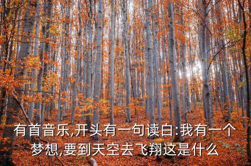 小荷风采幼儿舞蹈飞的更高