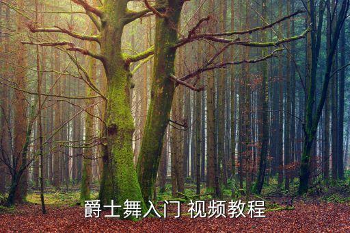 爵士舞入门 视频教程