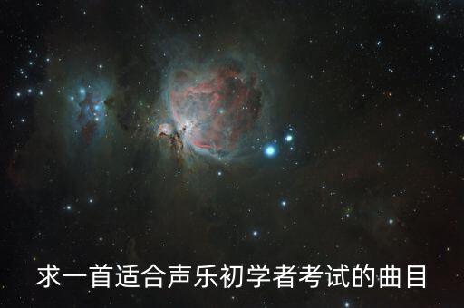求一首适合声乐初学者考试的曲目