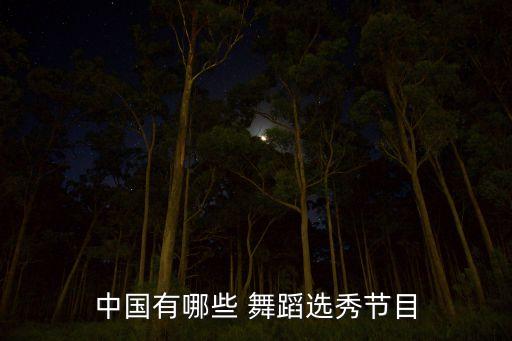 中国有哪些 舞蹈选秀节目