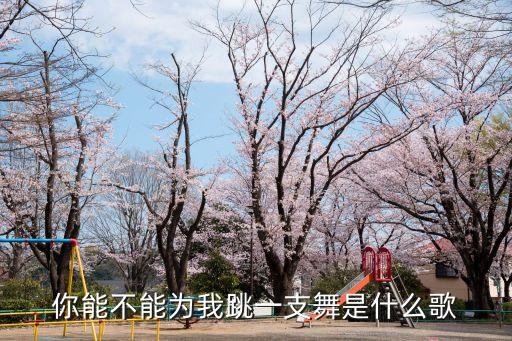 你能不能为我跳一支舞是什么歌