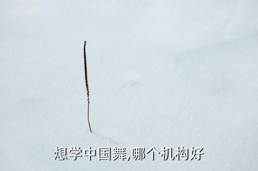 想学中国舞,哪个机构好