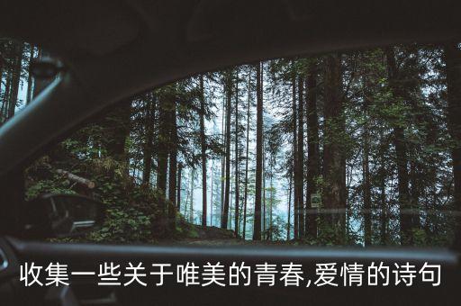 收集一些关于唯美的青春,爱情的诗句