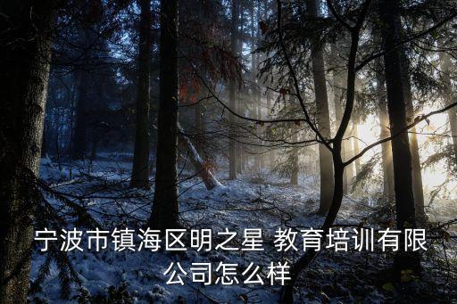  宁波市镇海区明之星 教育培训有限公司怎么样