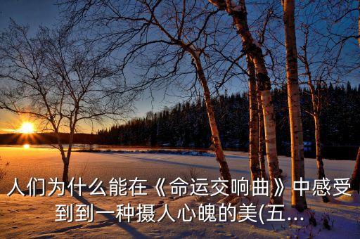 人们为什么能在《命运交响曲》中感受到到一种摄人心魄的美(五...