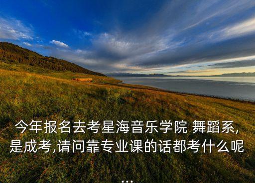 今年报名去考星海音乐学院 舞蹈系,是成考,请问靠专业课的话都考什么呢...