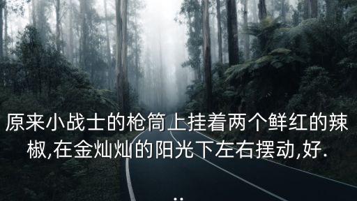 原来小战士的枪筒上挂着两个鲜红的辣椒,在金灿灿的阳光下左右摆动,好...