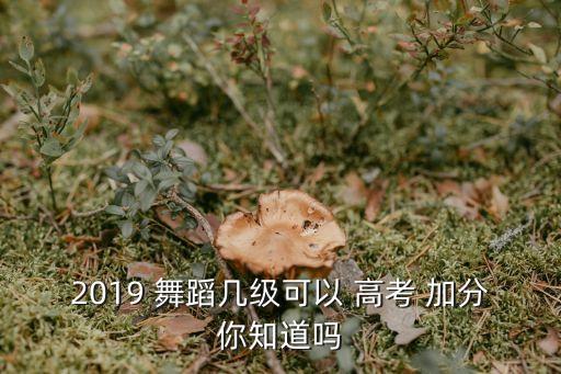 2019 舞蹈几级可以 高考 加分你知道吗