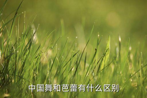 中国舞和芭蕾有什么区别