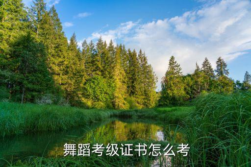  舞蹈考级证书怎么考