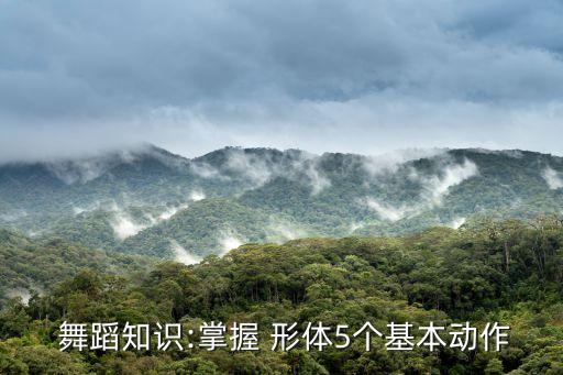  舞蹈知识:掌握 形体5个基本动作