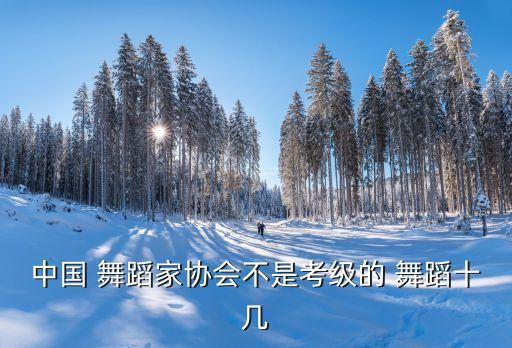 中国 舞蹈家协会不是考级的 舞蹈十几