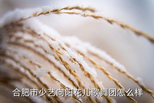  合肥市少艺向阳花儿歌舞团怎么样