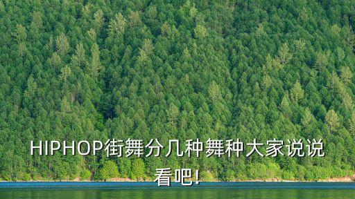 hiphop黑人舞蹈,黑人HipHop